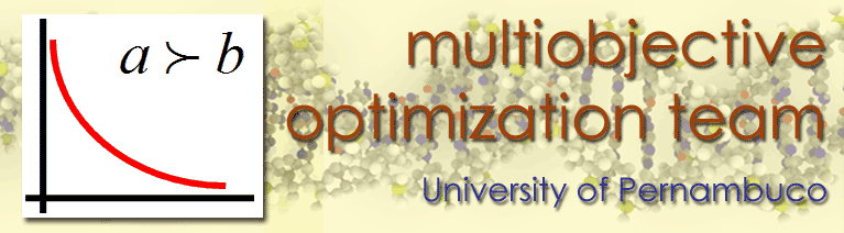 Multi Objective Optimization Group